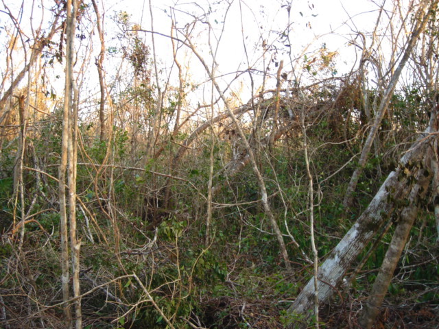 dsc00478.jpg